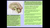 «Химия» мозга — 5